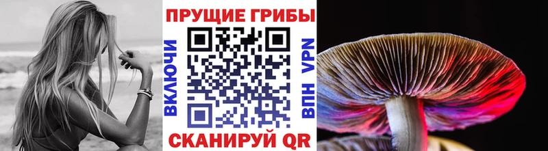 ОМГ ОМГ как зайти Сорочинск Галлюциногенные грибы MAGIC MUSHROOMS